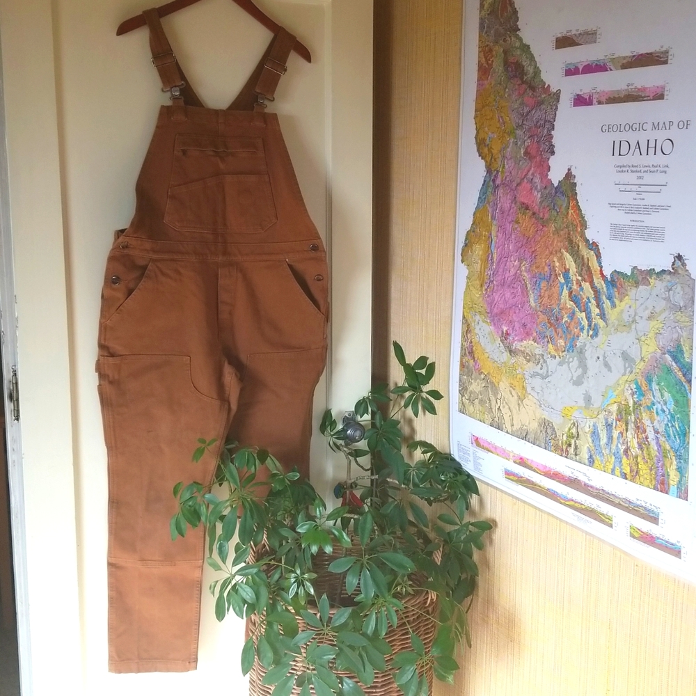 Carhartt | Overalls